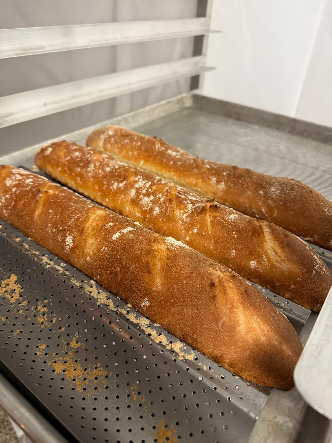 Freshly baked baguettes in a perforated baking tray