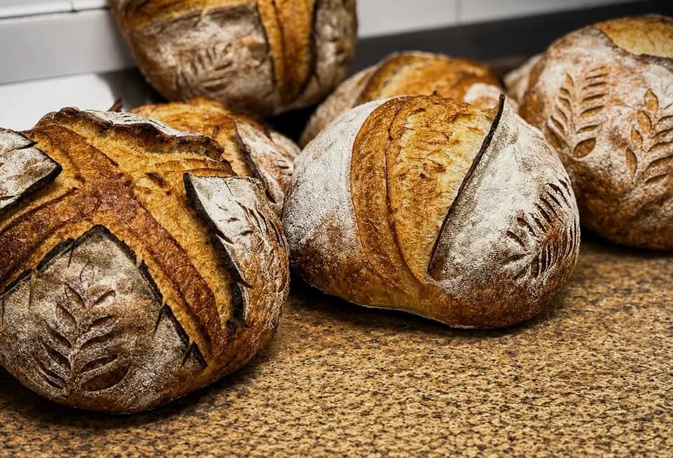 Rustic scored sourdough loaves on a counter