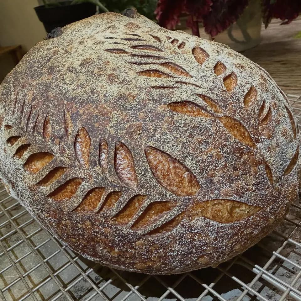 A sourdough loaf scored with a leaf pattern, on a cooling rack